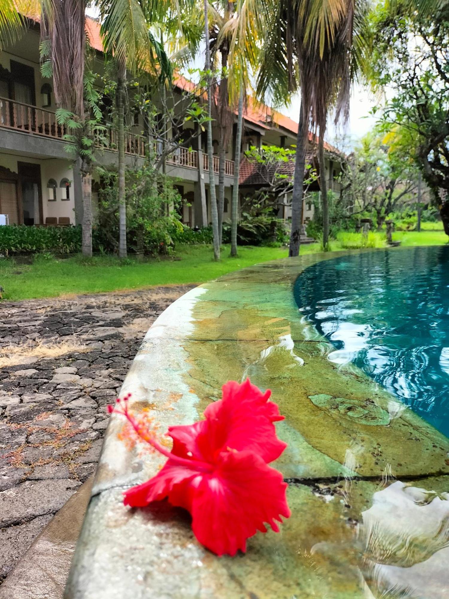 Hotel Seaside Lovina المظهر الخارجي الصورة